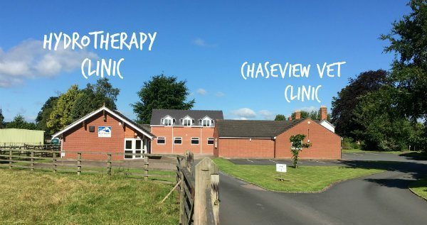 Veterinary practice with hydrotherapy in ross-on-wye